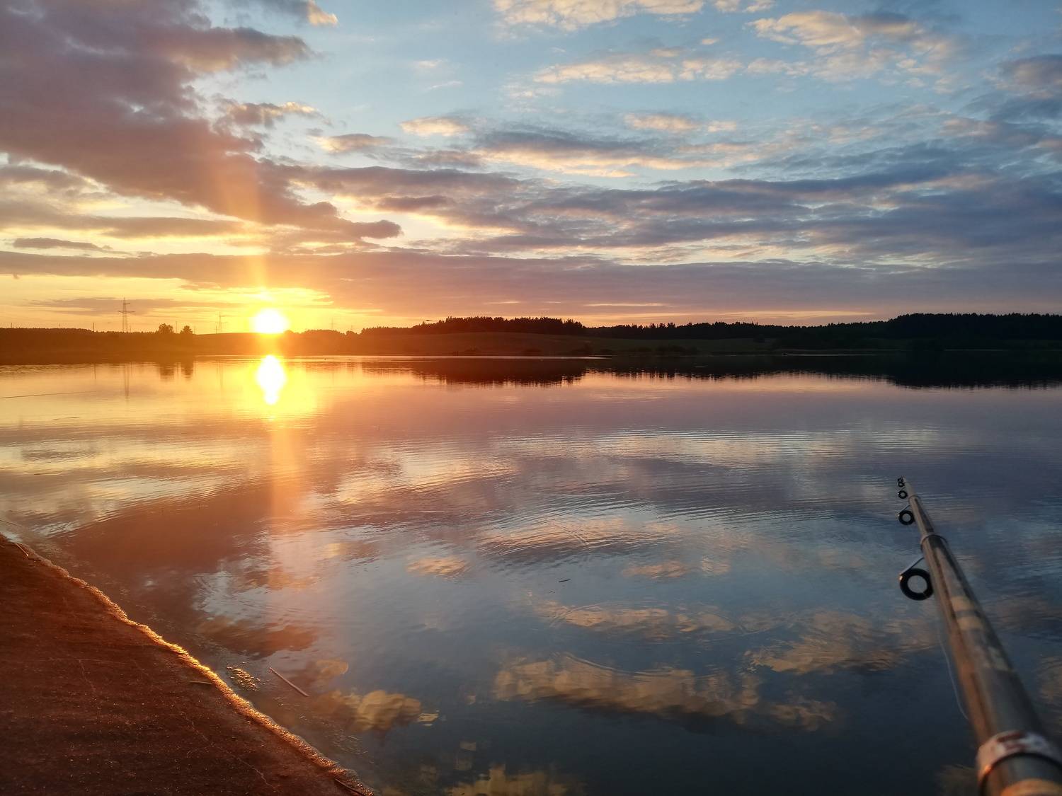 Photo #7755300