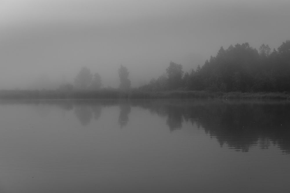 Photograph by Roman Dmitriev