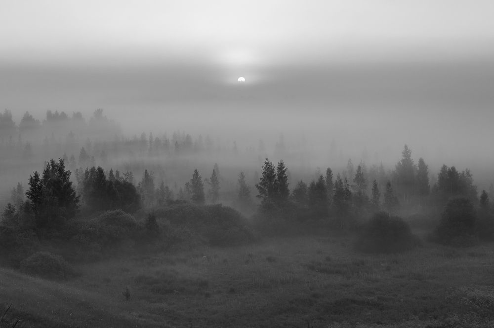 Photograph by Roman Dmitriev