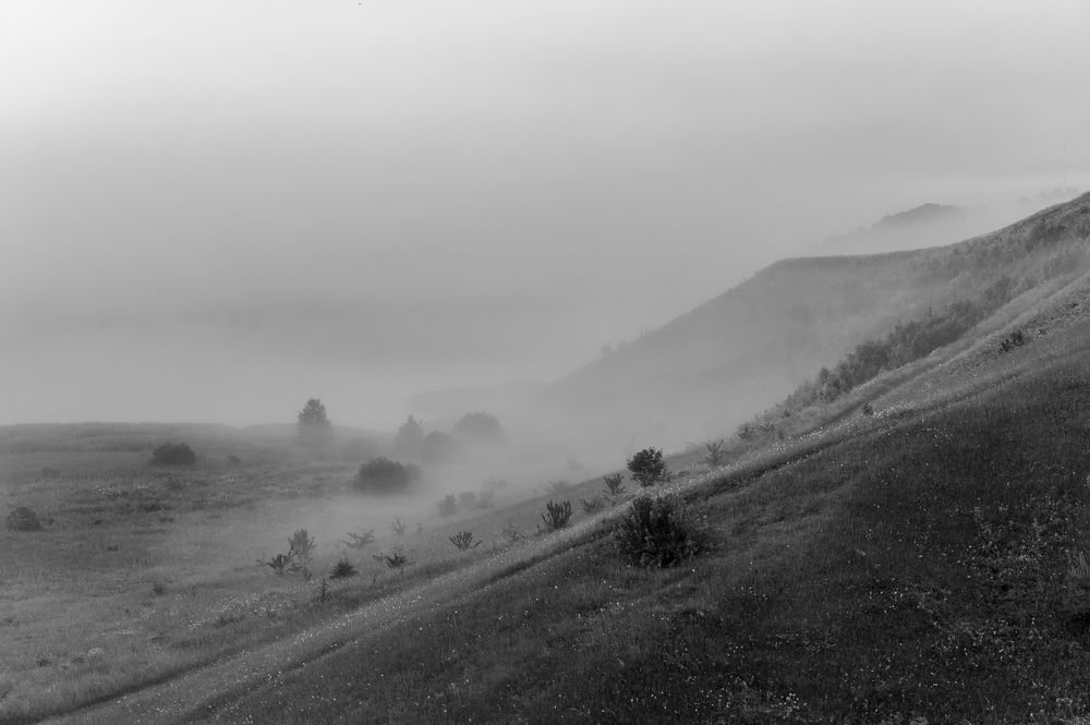 Photograph by Roman Dmitriev