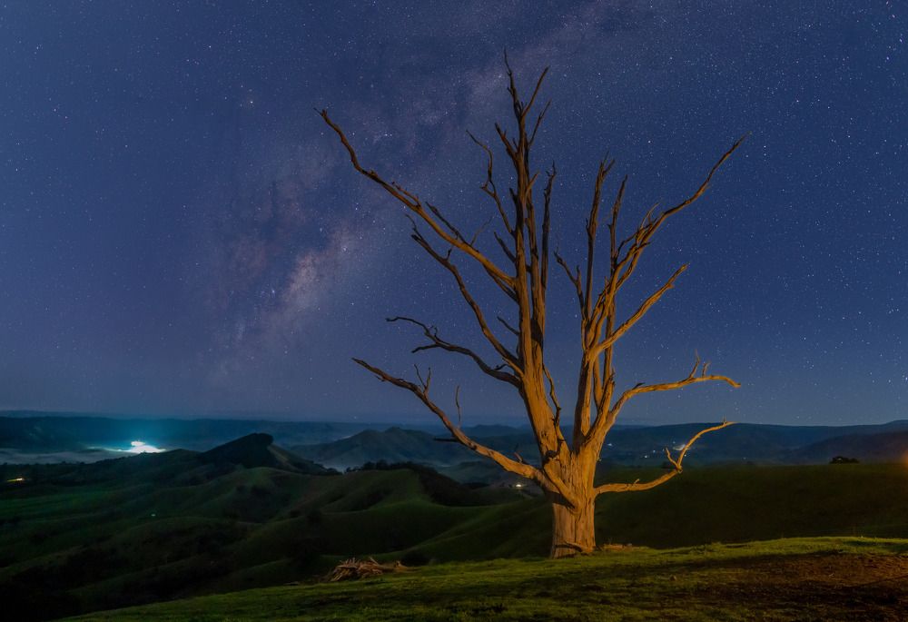 Photograph by Bryan Vu