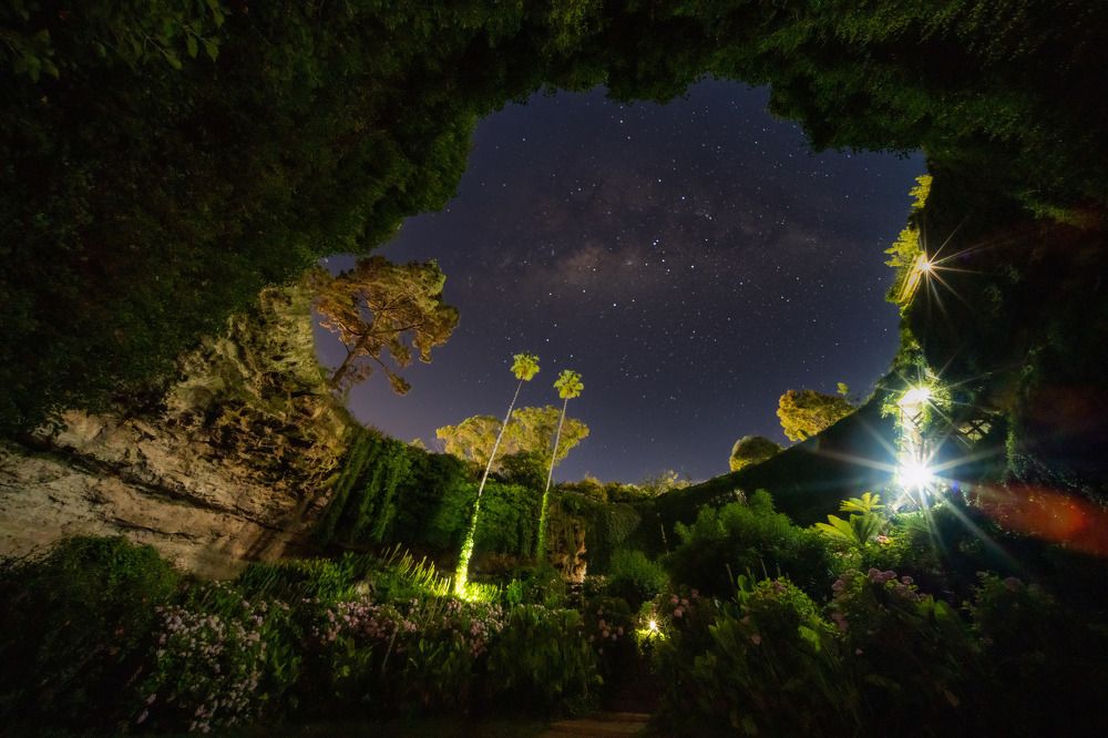 Photograph by Bryan Vu