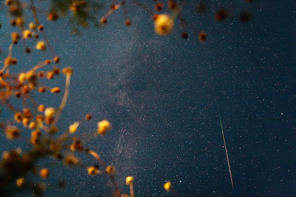 Photograph by Владимир Салапонов