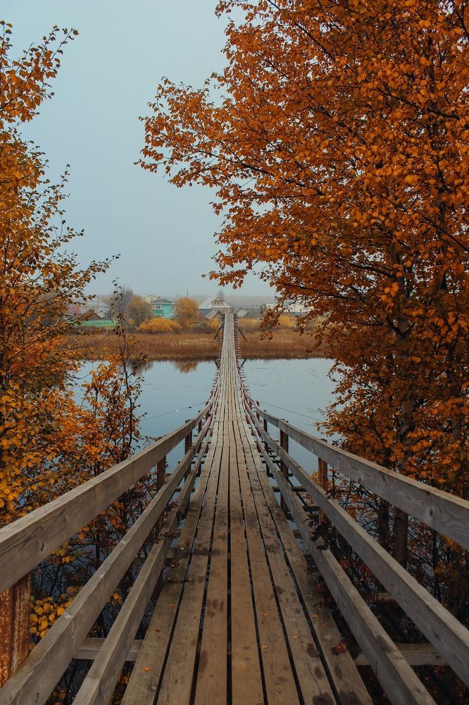 Photograph by Мария Василенко