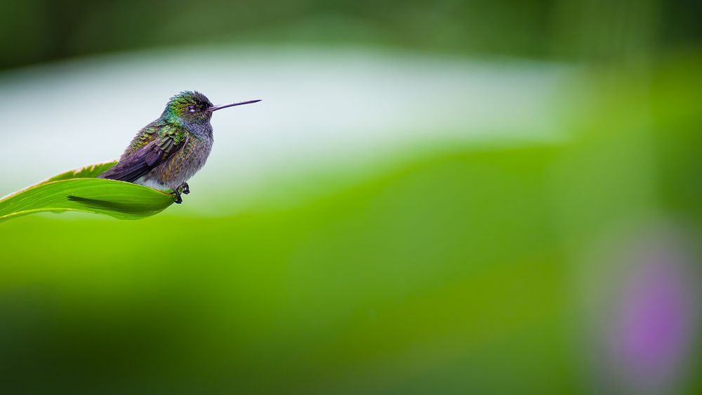 Photograph by Daniel Walther