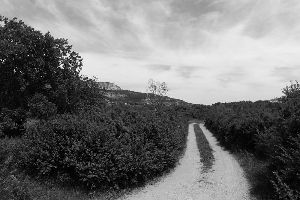 Любимый город мой!