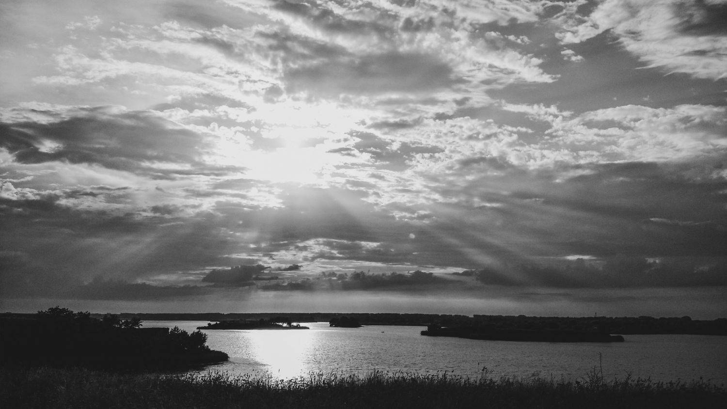 Photo #7755470