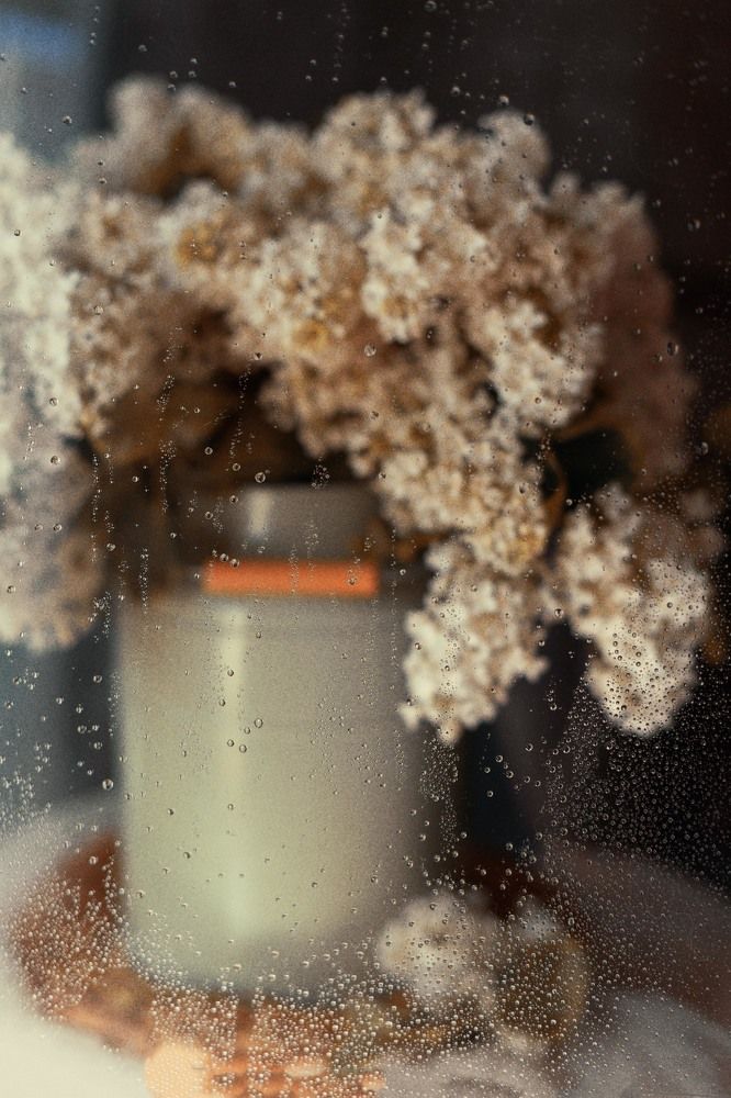 Photograph by Алена Пайвина