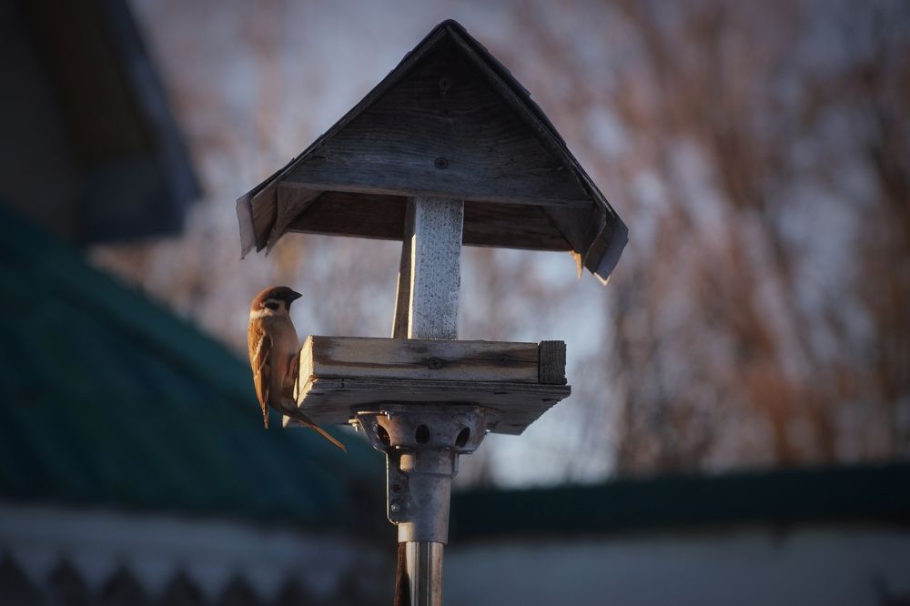 Photograph by Koloskova Mariya