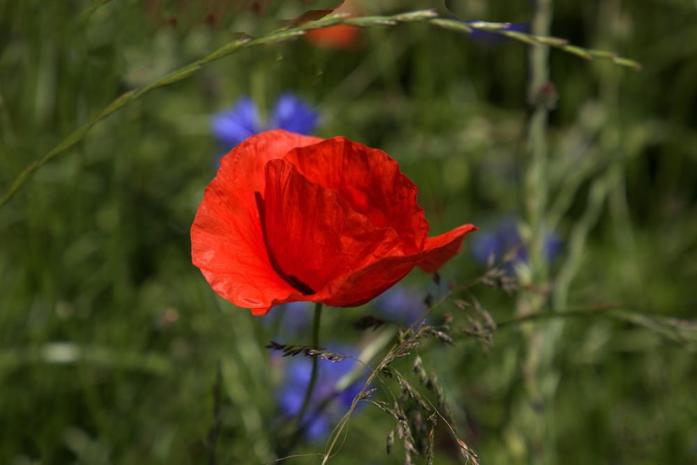 Photograph by ILONA KILA