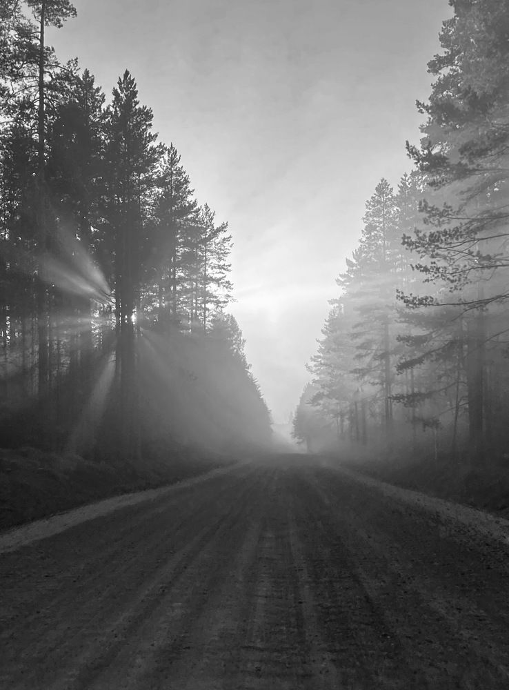 Photograph by Екатерина Николаева