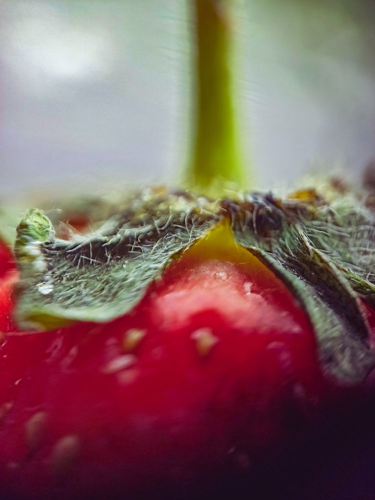 Photograph by Нестерова Карина