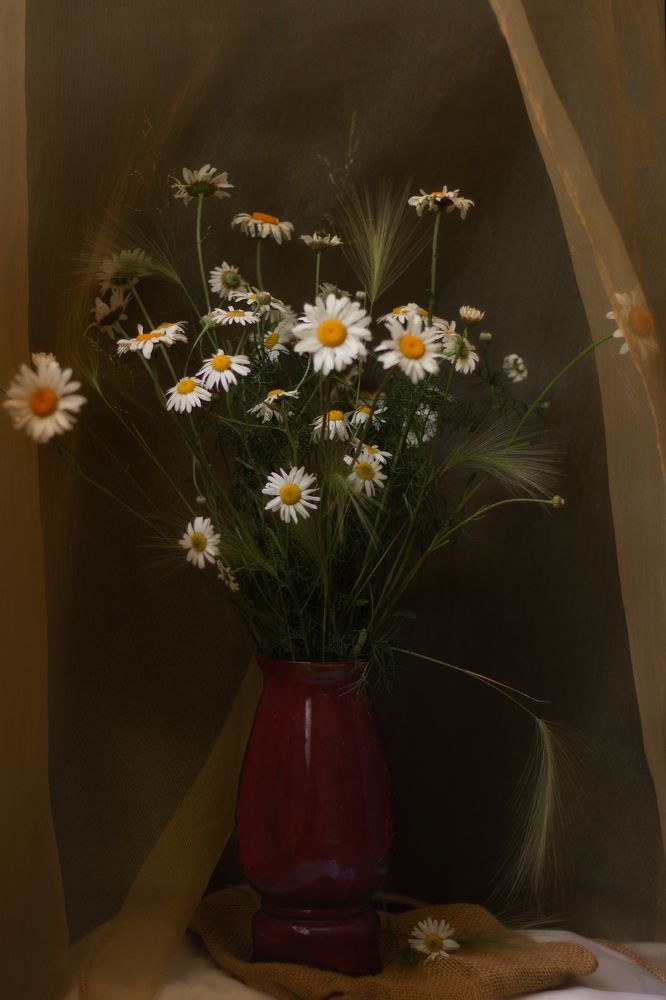 Photograph by Елена Макаренко