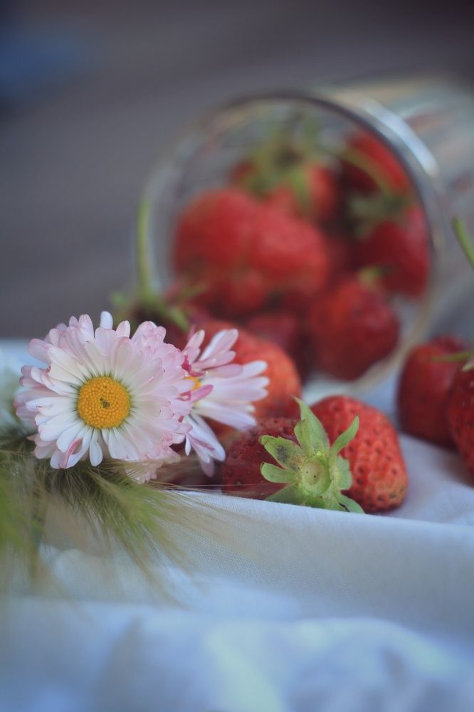 Photograph by Елена Змейкова