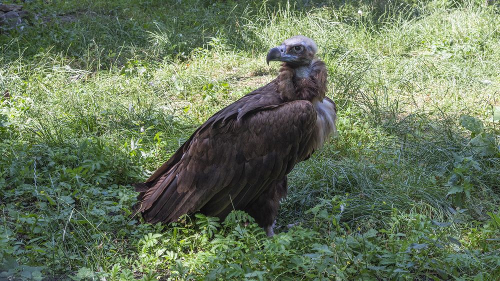 Photograph by Максим Умеренников