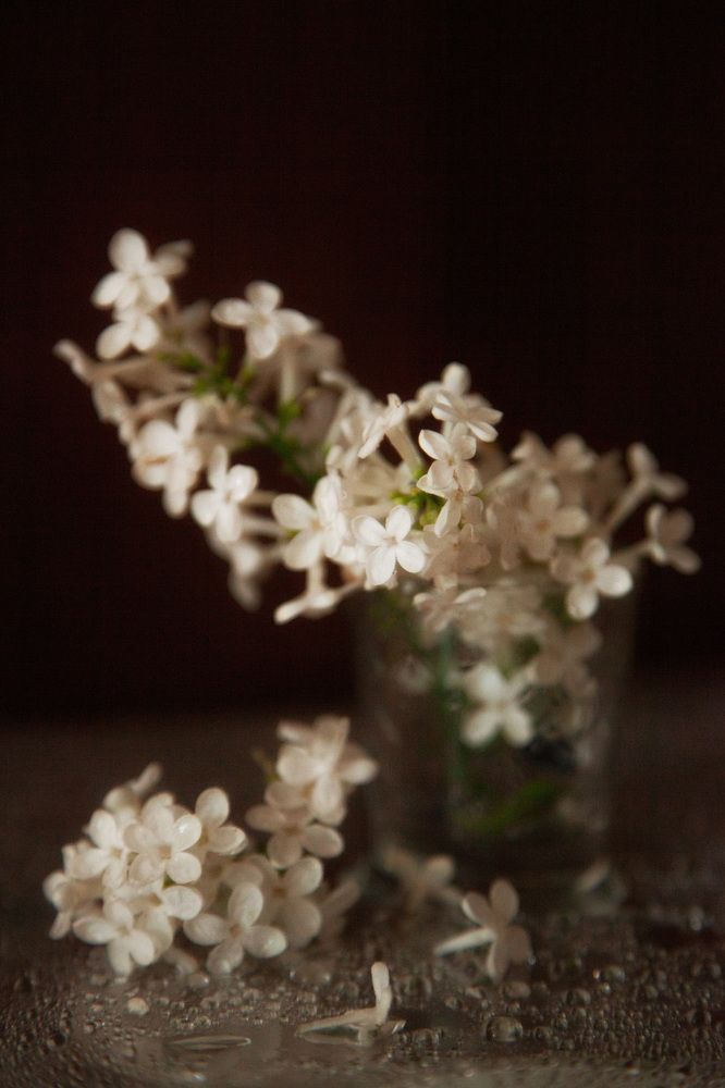 Photograph by Елена Михайлова