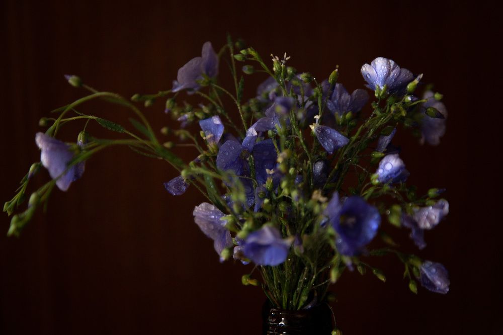 Photograph by Елена Михайлова