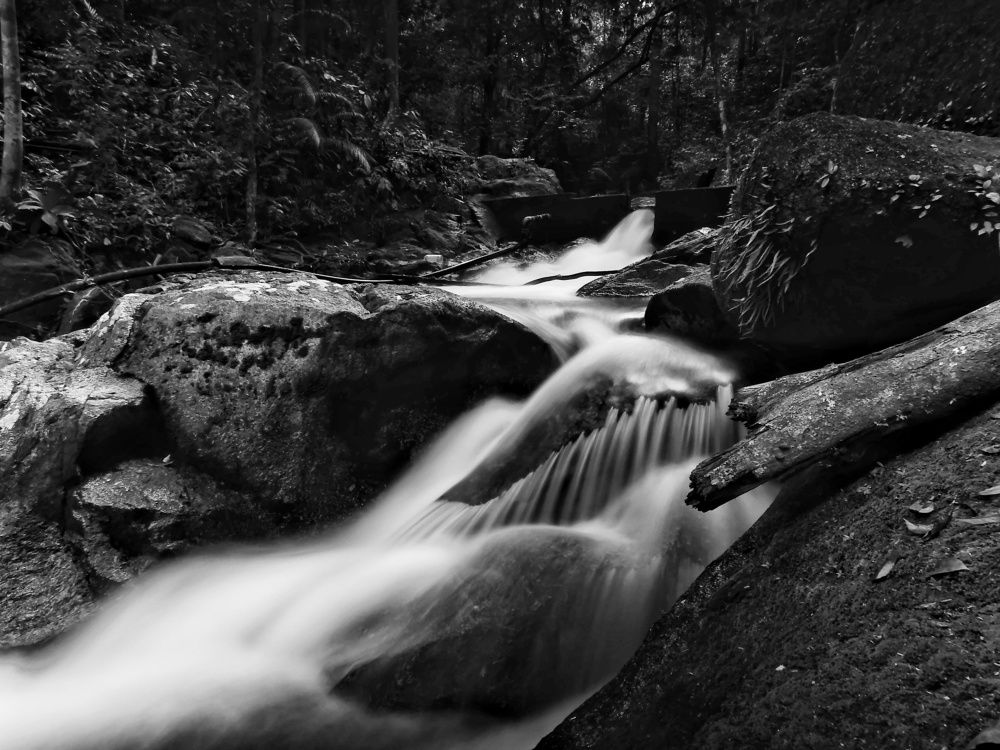 Photograph by Siew Chee chung