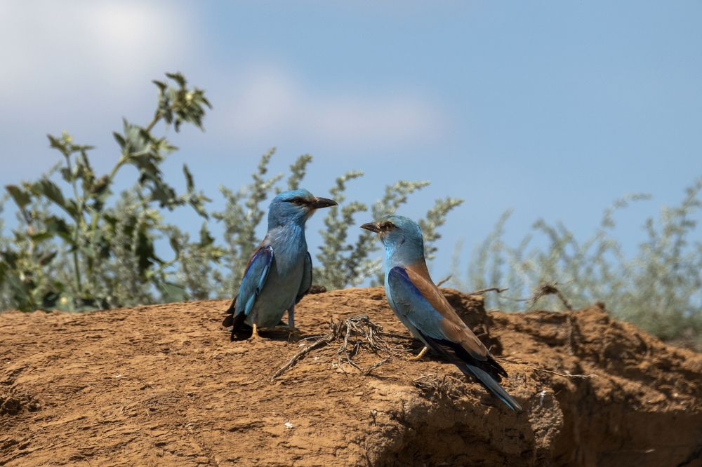 Photograph by Василий Дудин