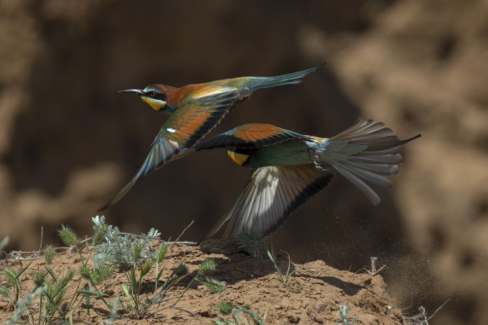 Photograph by Василий Дудин