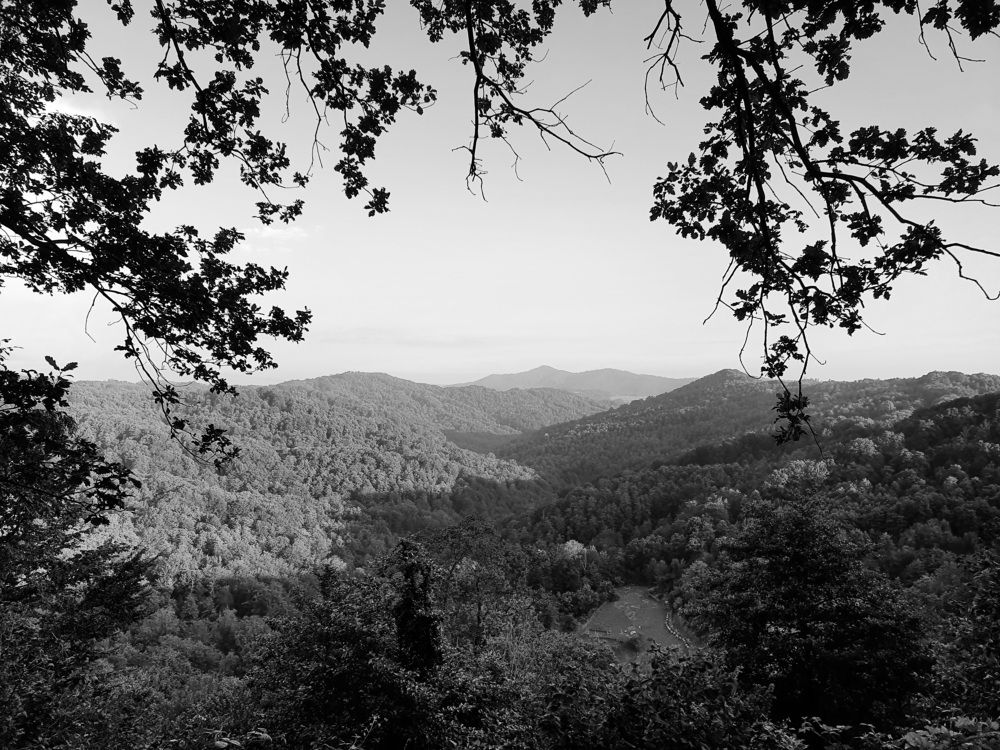 Photo #7755775
