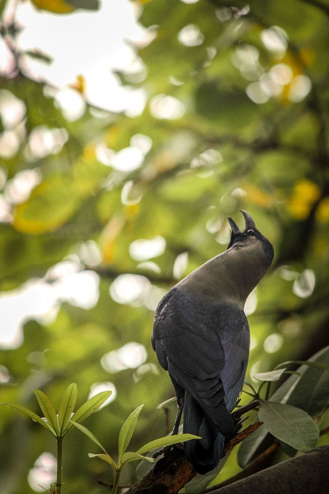 Photograph by Gurpreet Singh