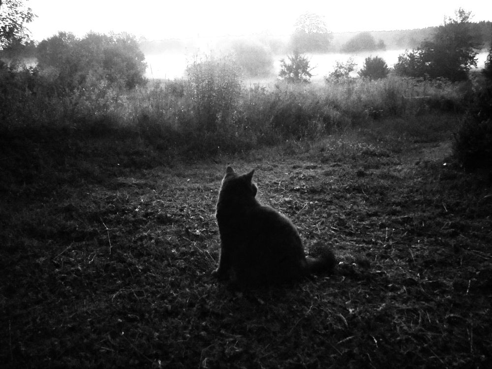 Photograph by Tatsiana Khinevich