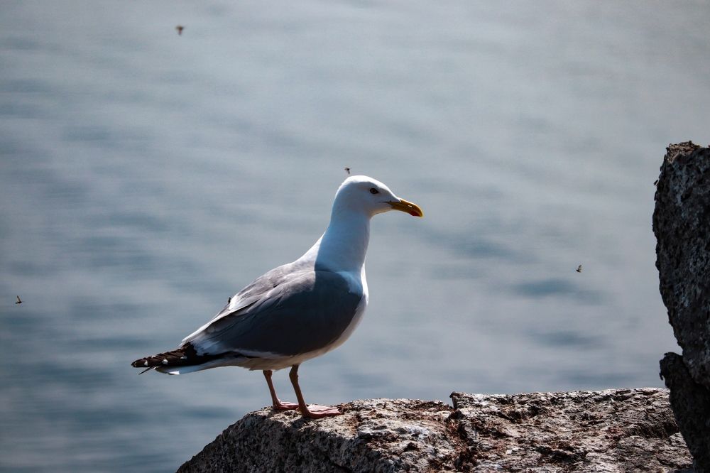 Photograph by Татьяна Азанбаева