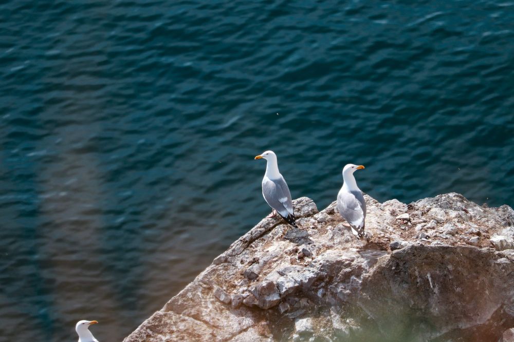 Photograph by Татьяна Азанбаева