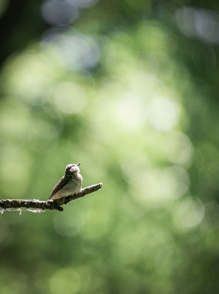 Photograph by Сергей Басов