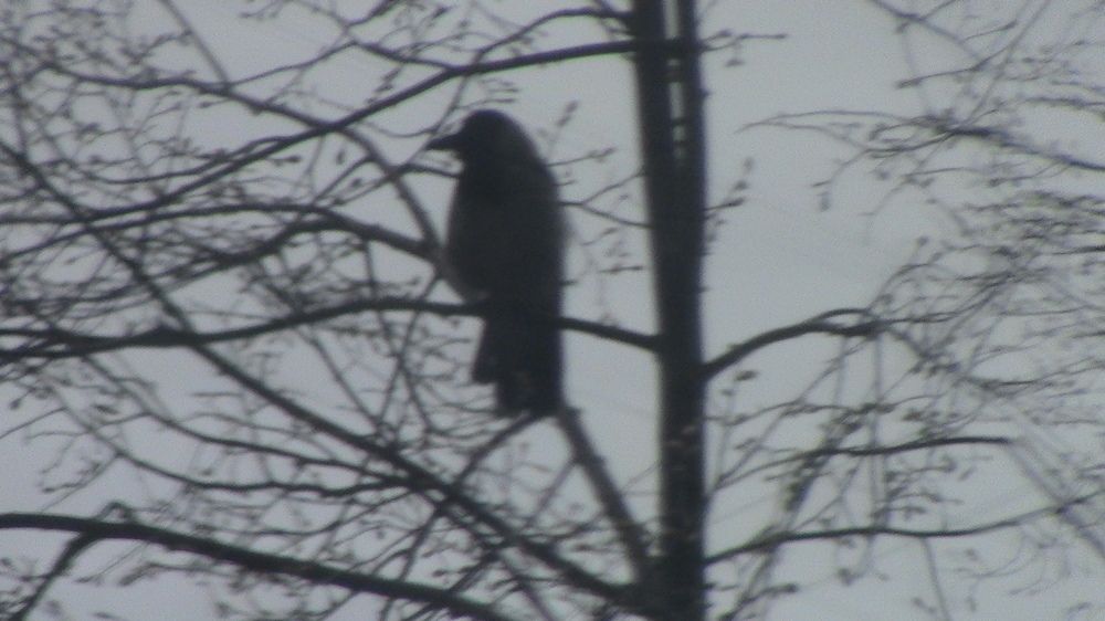 Photograph by Ирина Степановна Азаренкова