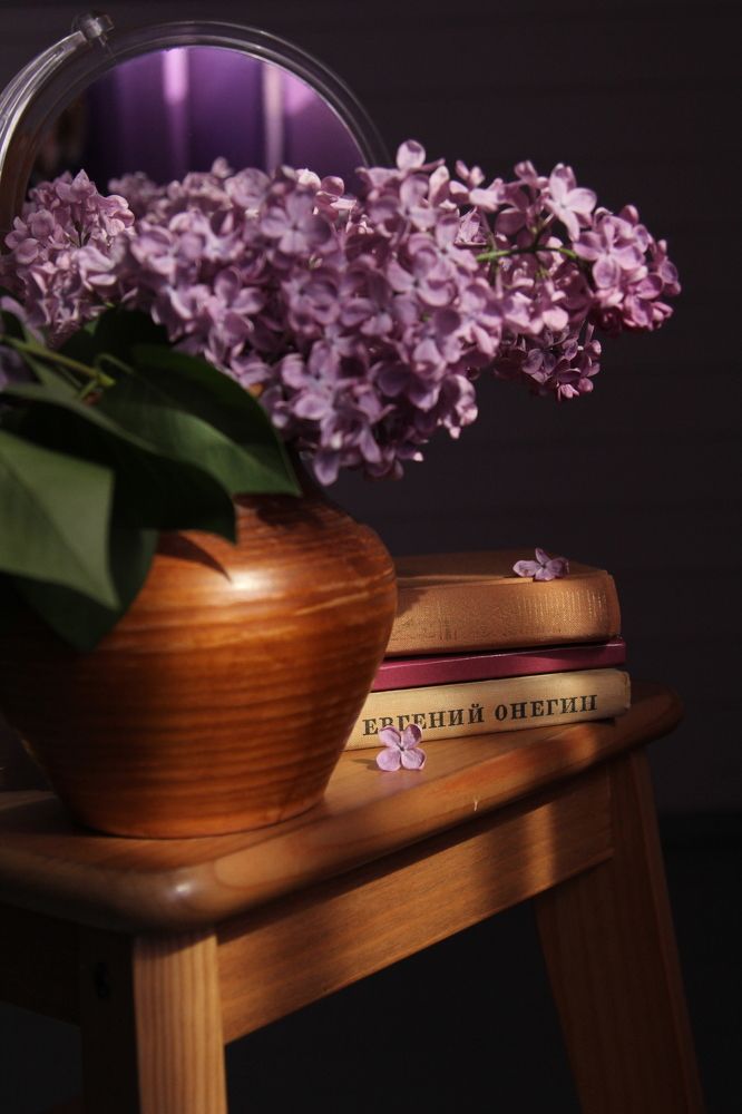 Photograph by Елена Черненкова