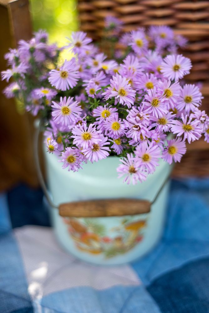 Photograph by Анастасия Воронова