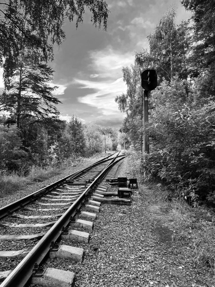 Photograph by Инна Зырянова