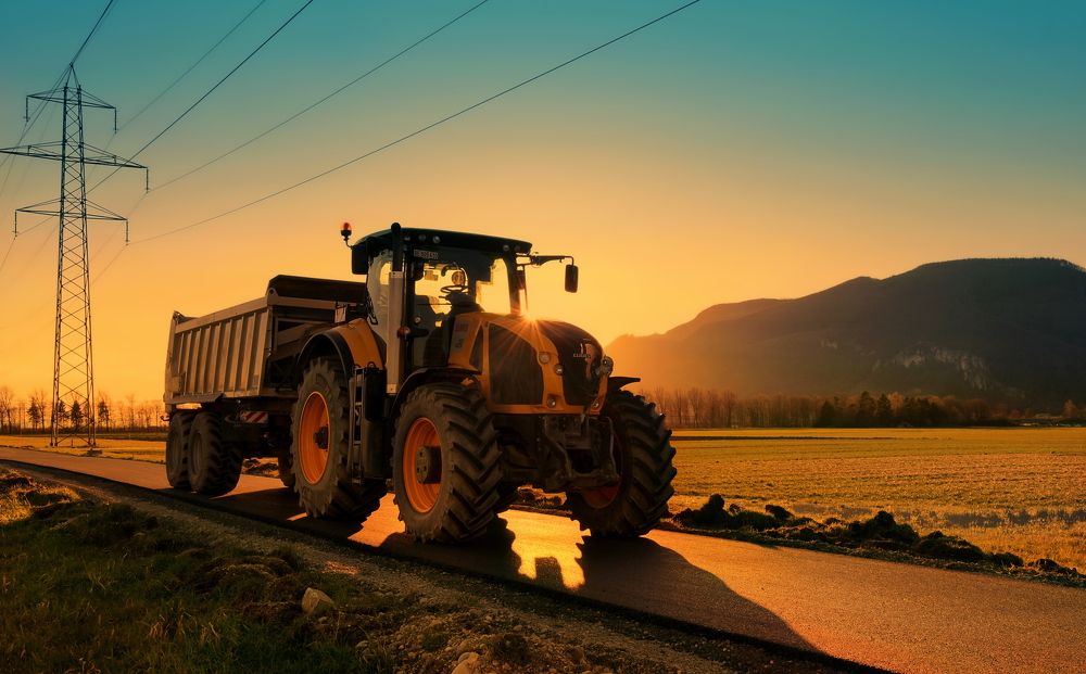 Photograph by Elena Wymann