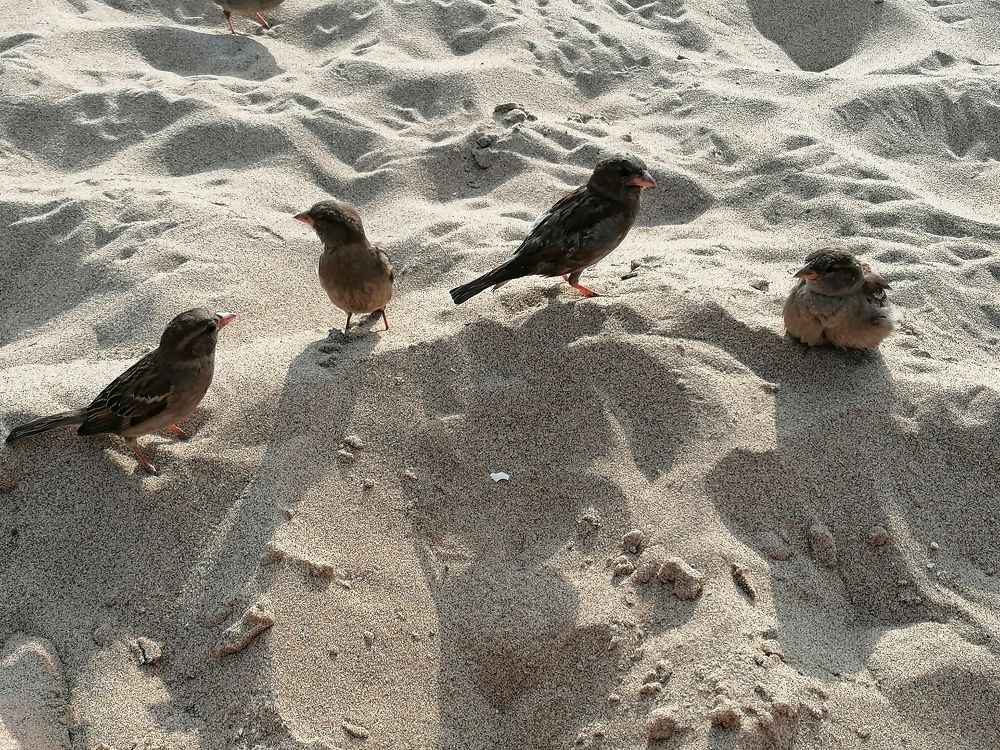 Photograph by Кристина