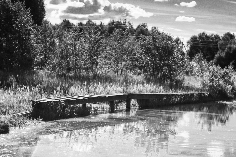 Photograph by Елена Квасова