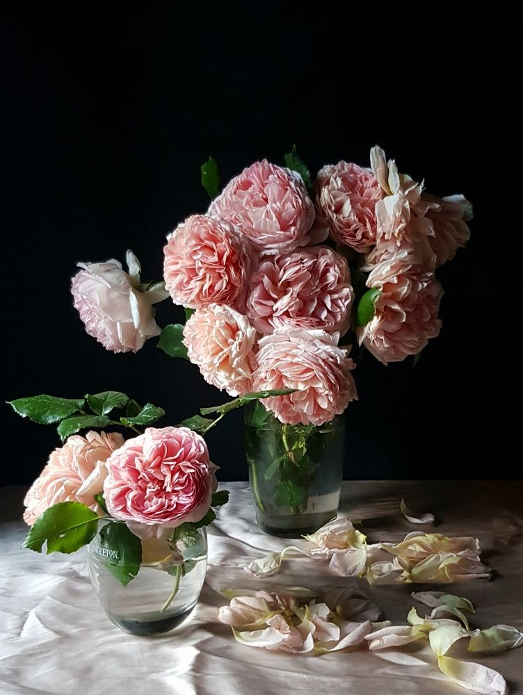 Photograph by Людмила Шатерникова