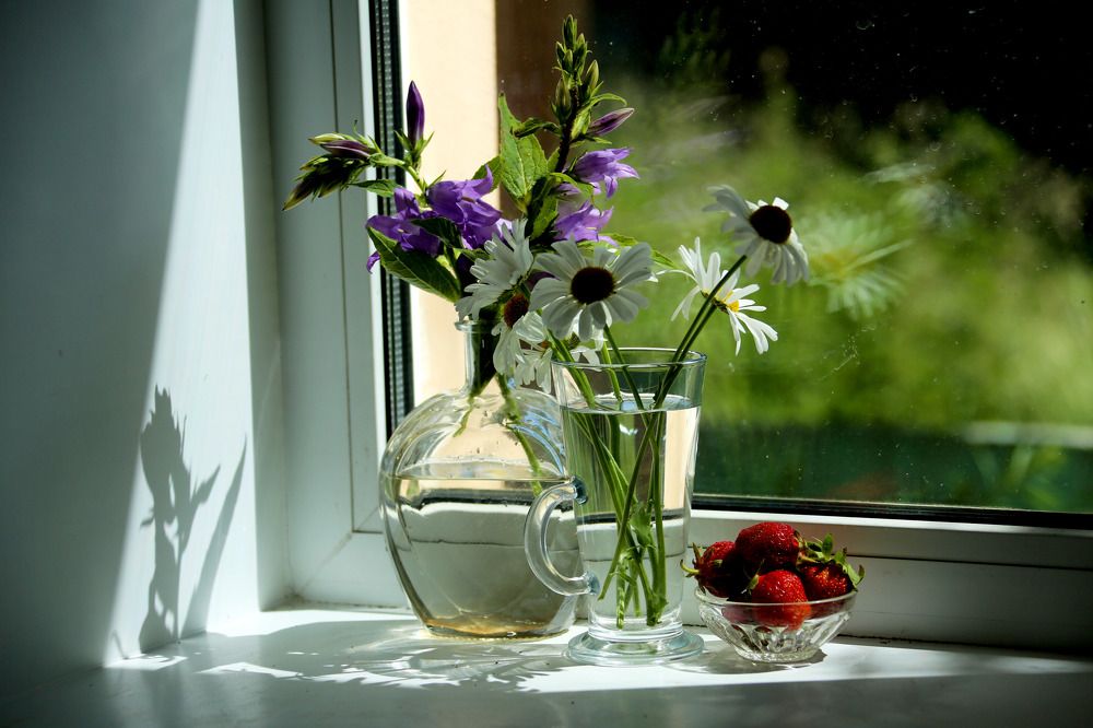 Photograph by Моложников Юрий