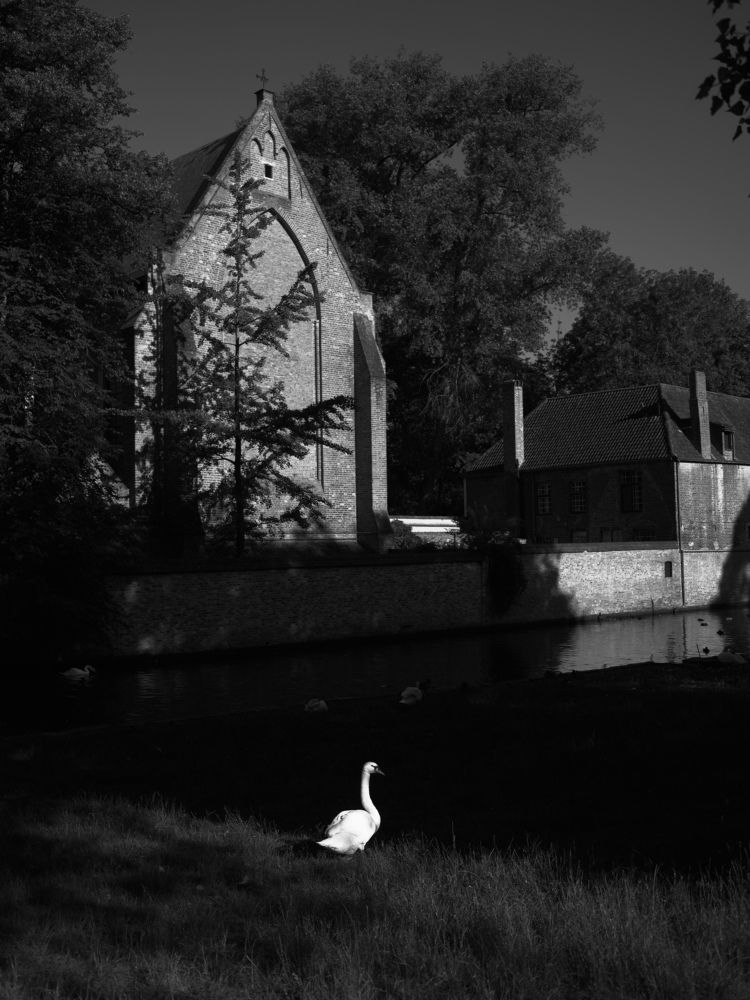 Photograph by Alfonso Bricegno