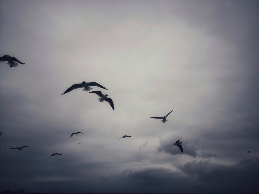 Фотография автора Zahra Seyedmorti