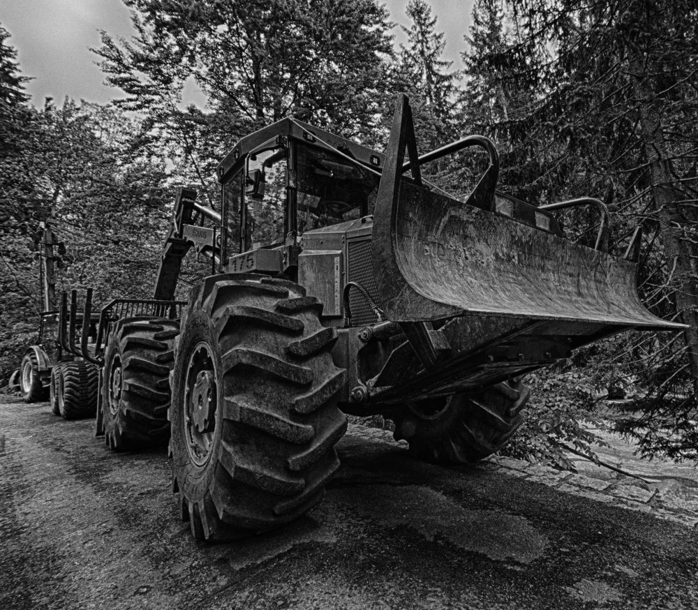 Photograph by Oleg Yashin