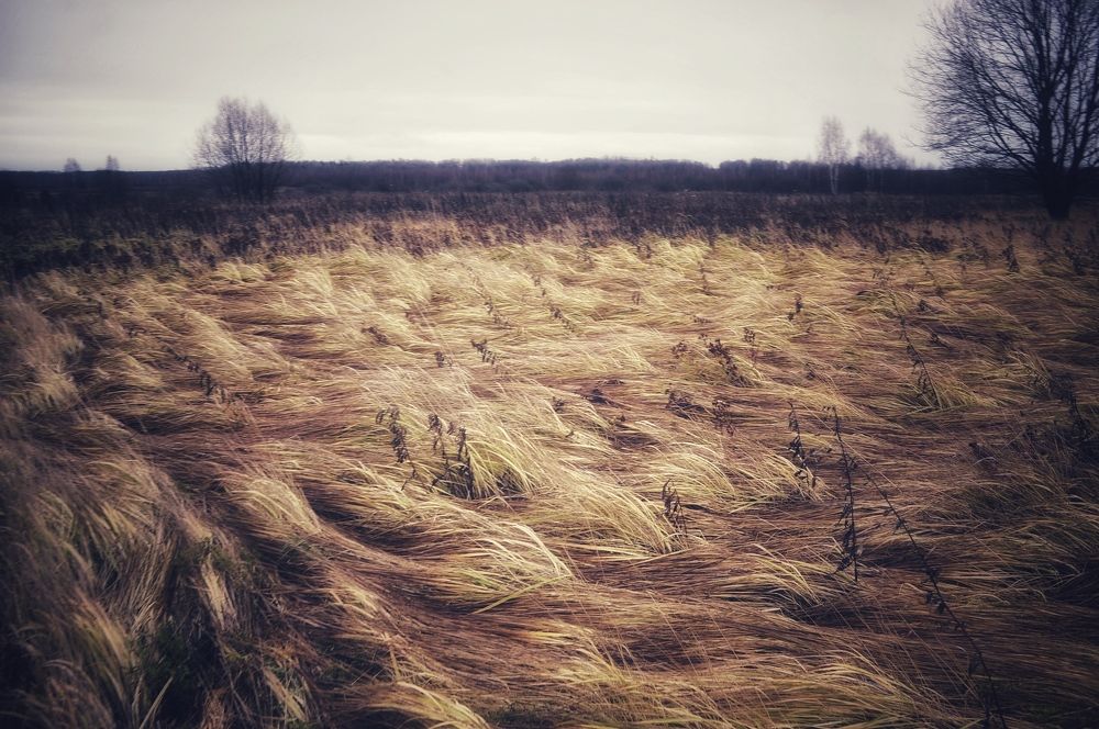 Photograph by Денис Смородин