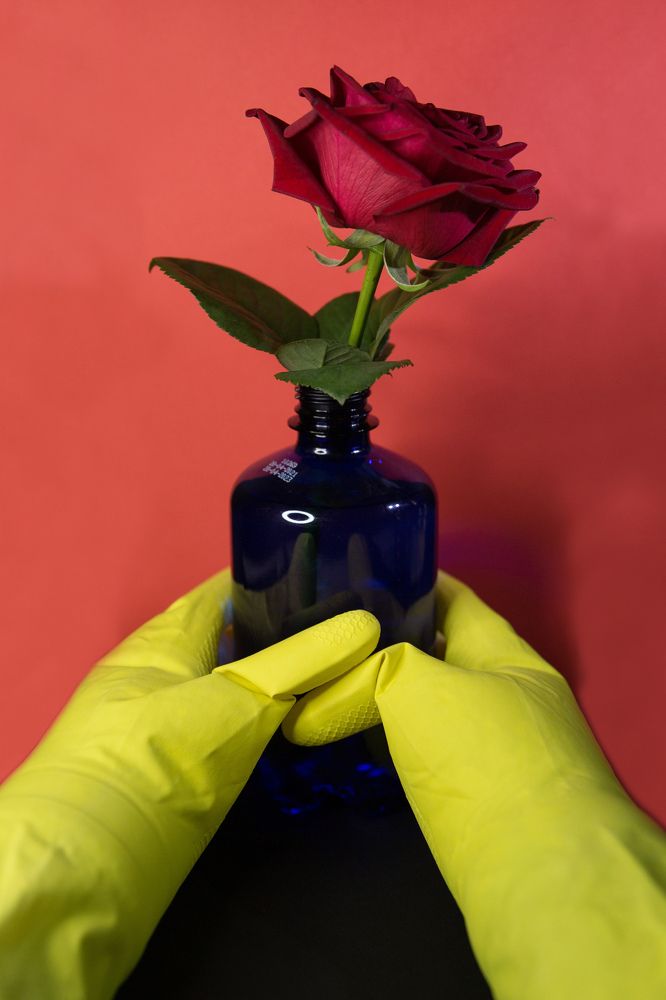 Photograph by Анна Артёменко