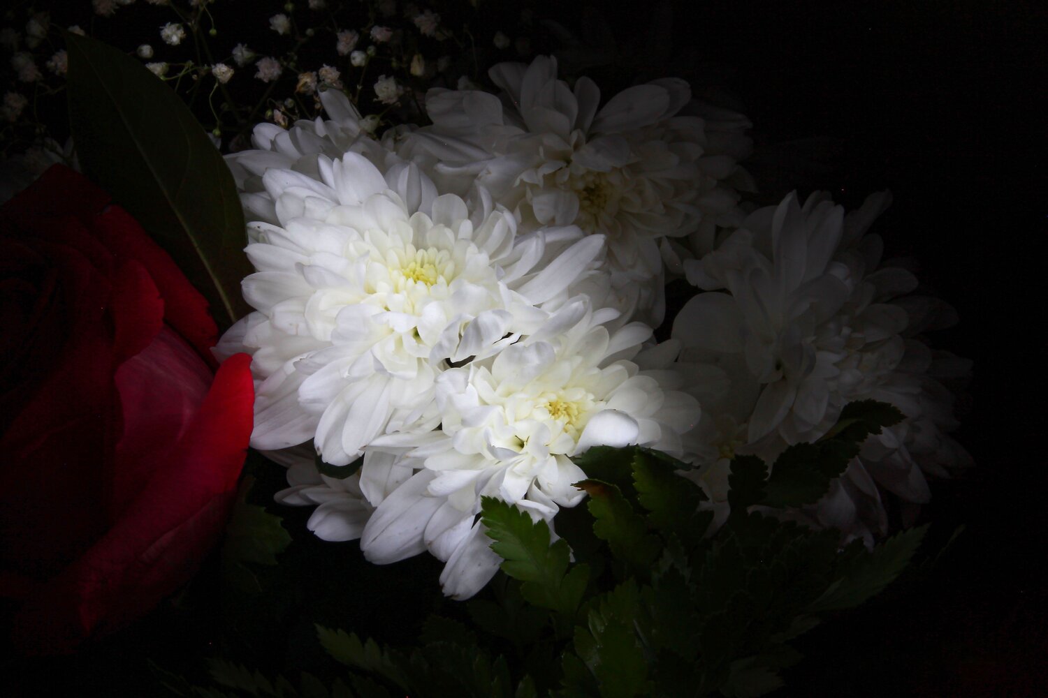 Photo #7756328