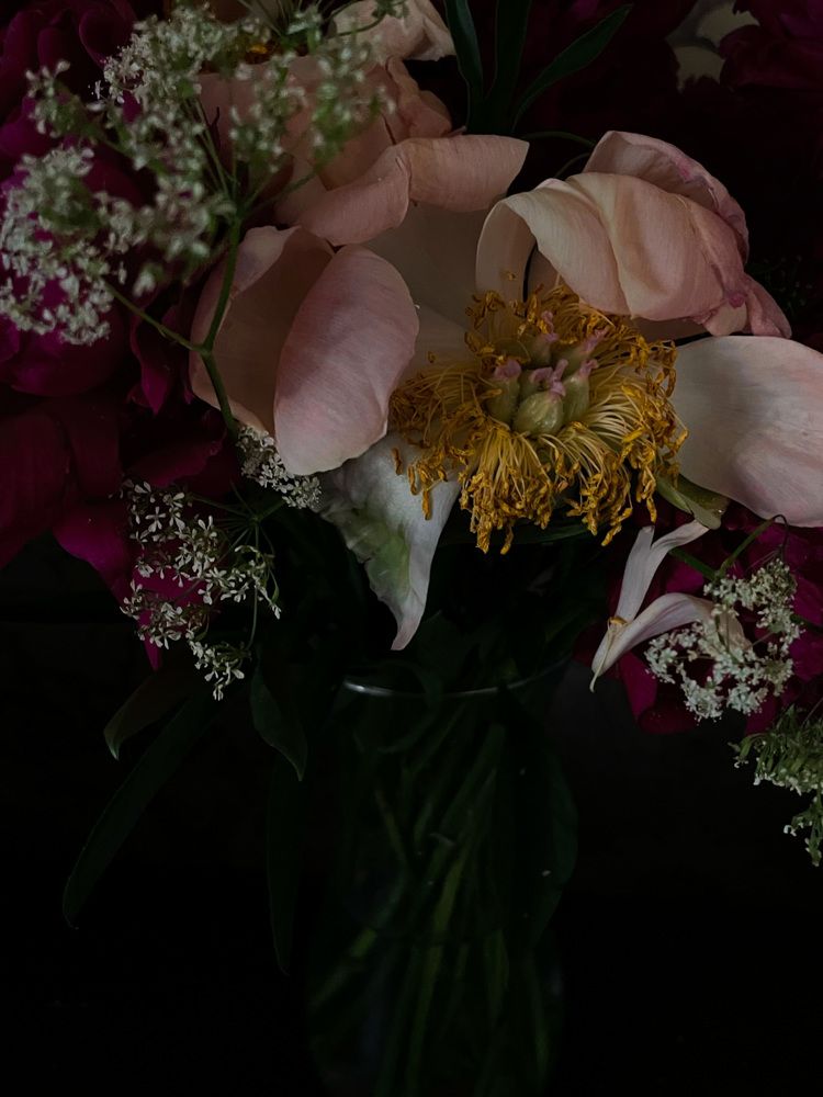 Photograph by Анна