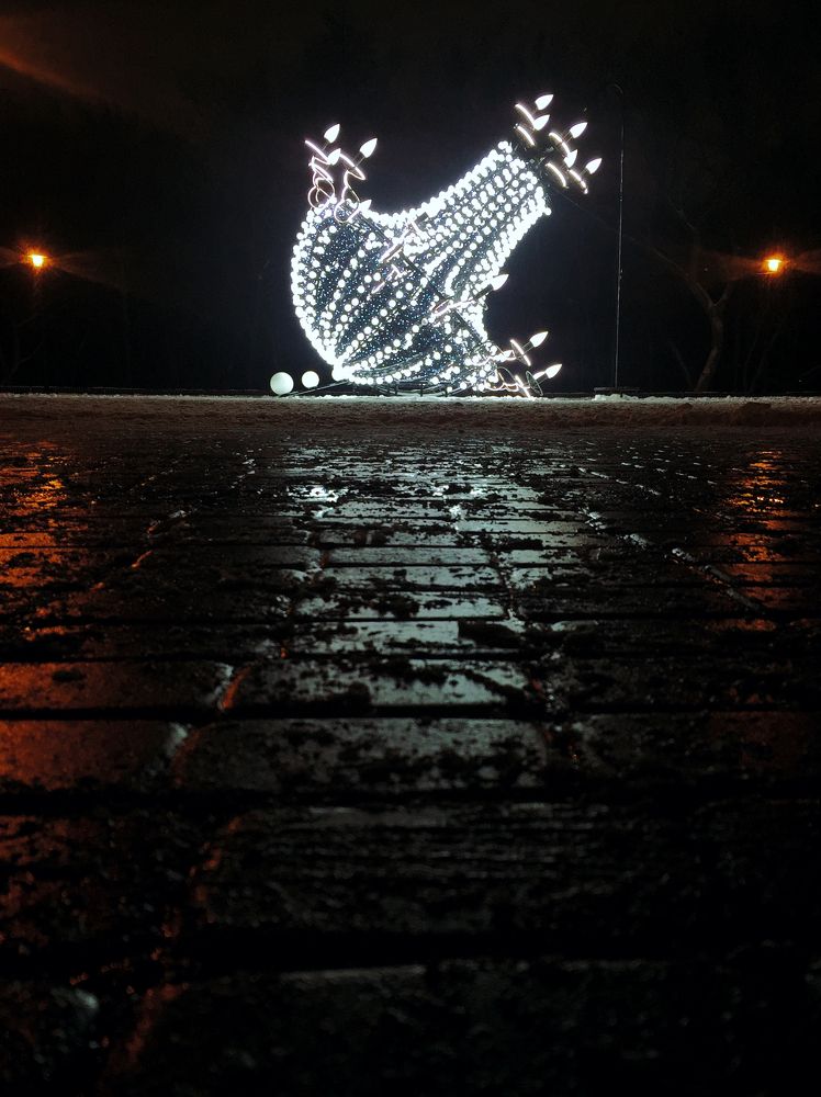 Фотография автора Елена Перцева