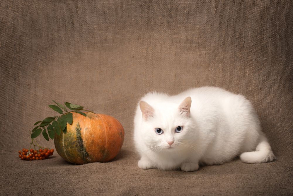 Photograph by Анна Белинская