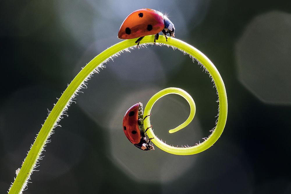 Photograph by Uygar Hüyüklü