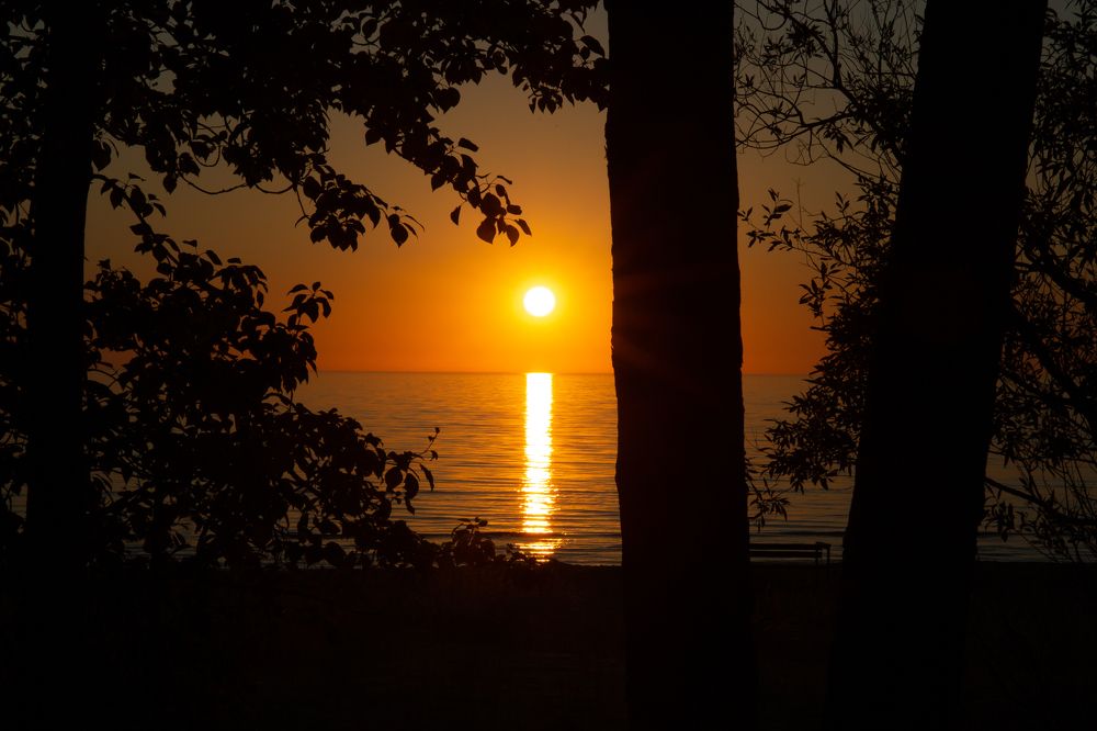 Photograph by Наталья Катюжанская